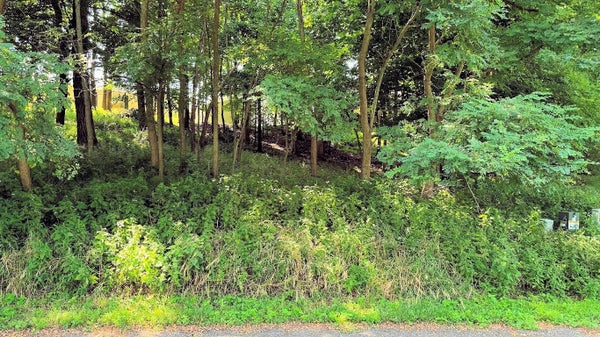 77 MORNING SIDE RD, BARABOO, WI 53913 - Image 3c18676d353398dea2cdbdb8f43b5d99/929845028