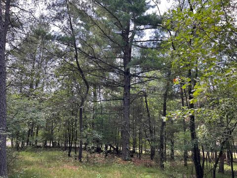 Tiny photo for L64 S Cypress Drive, Arkdale, WI 54613 (MLS # 2005055)