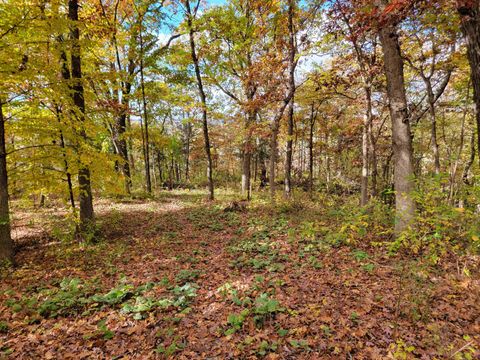 Photo of L9 St Lawrence Bluff Road, Poynette, WI 53955 (MLS # 1985427)