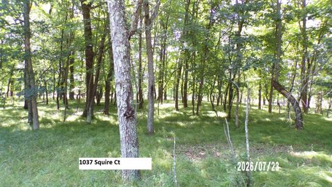 Photo of 1037 Squire Court, Nekoosa, WI 54457 (MLS # 2028724)