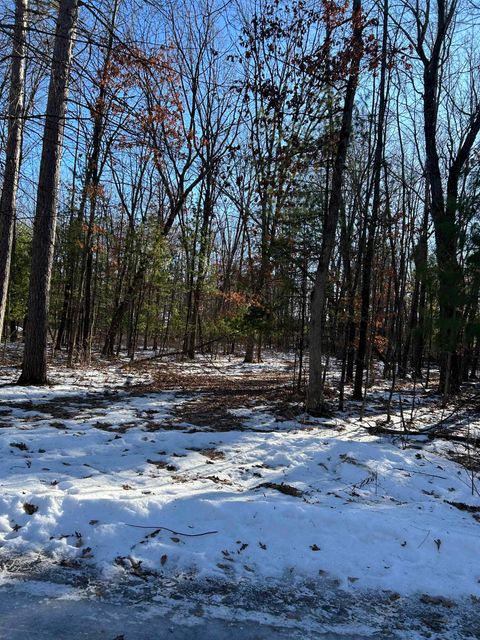 Photo of 0 Franklin Road, Tomah, WI 54660 (MLS # 2014917)