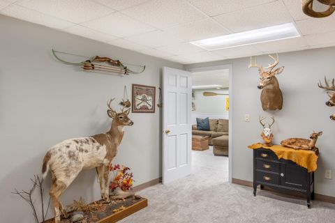 Tiny photo for N4419 Poplar Street, Poy Sippi, WI 54967 (MLS # 2006041)