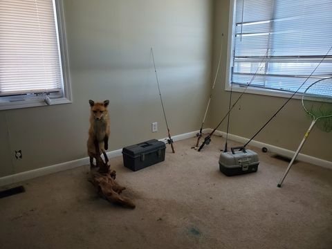 Tiny photo for W4011 County Road C, Montello, WI 53949 (MLS # 1998586)