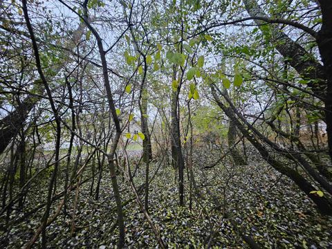 Tiny photo for 2634 Hamilton, Portage, WI 53901 (MLS # 2012719)