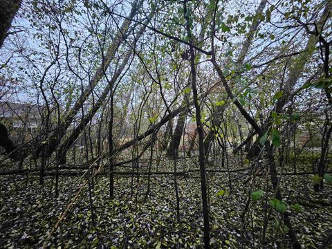 Tiny photo for 2634 Hamilton, Portage, WI 53901 (MLS # 2012719)