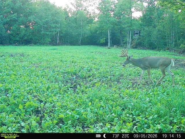 68+/- Acres Badger Avenue