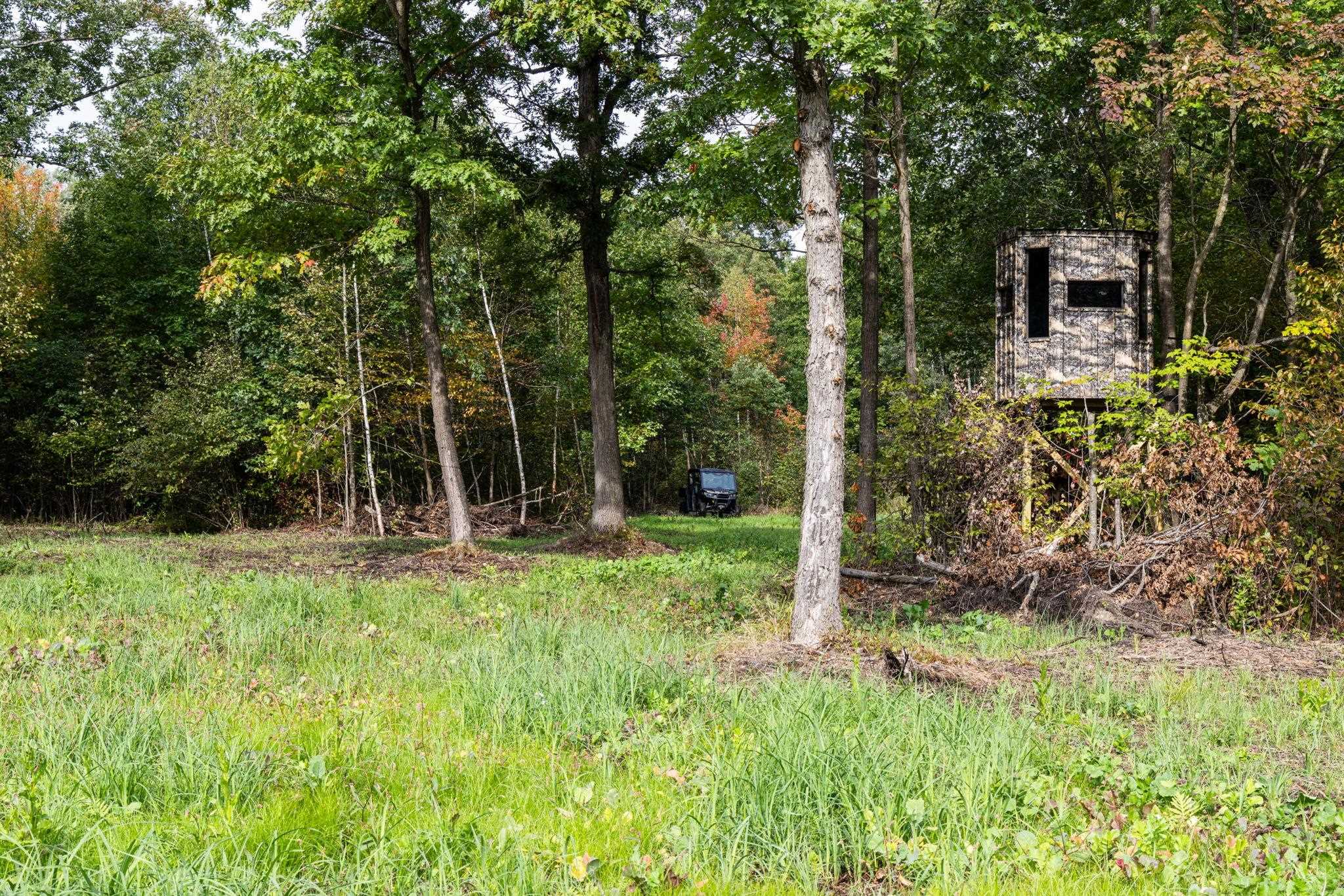 68+/- Acres Badger Avenue