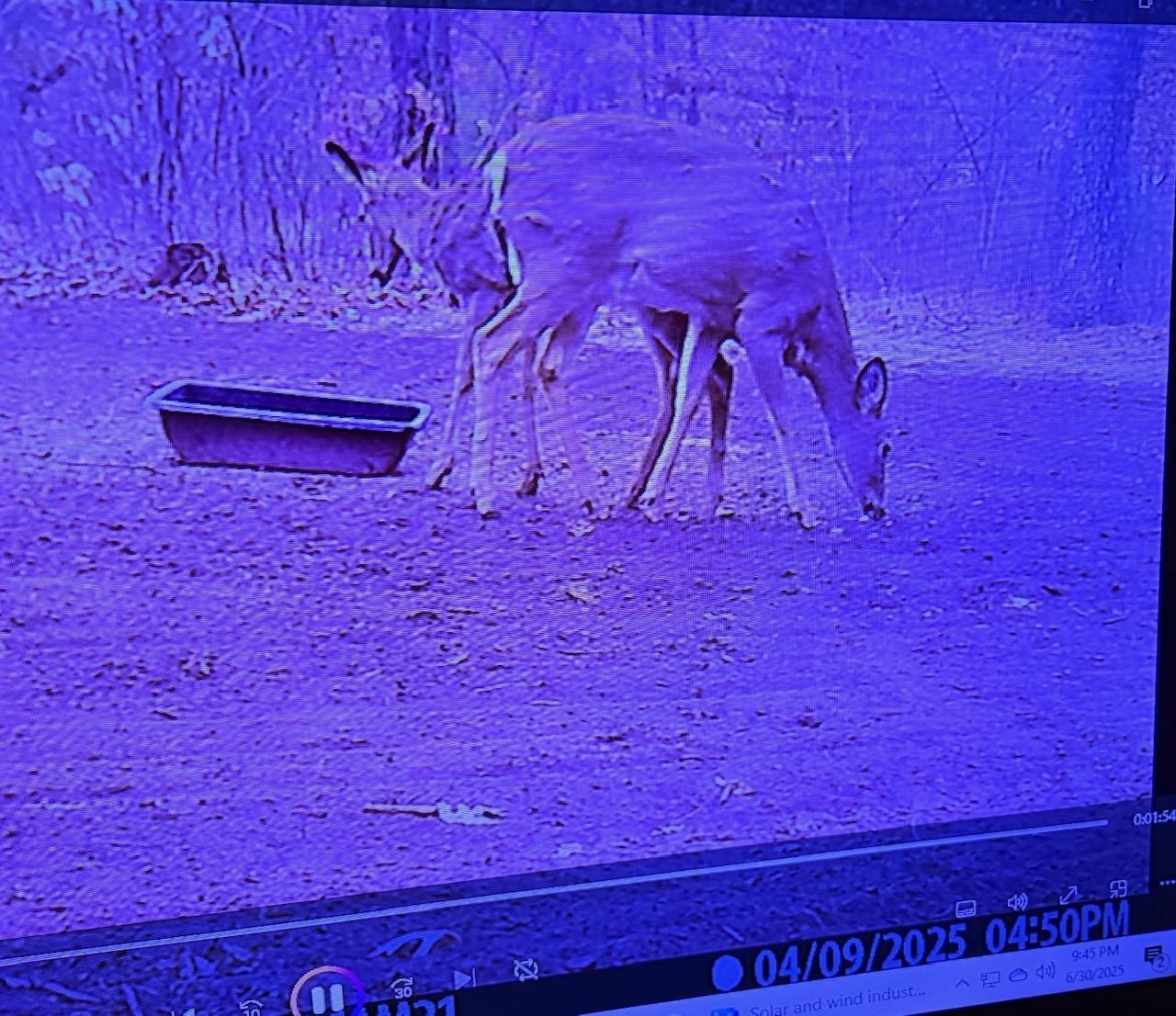 Coloma, Wisconsin 54930, United States, 3 Bedrooms Bedrooms, ,2 BathroomsBathrooms,Residential,Active,162406