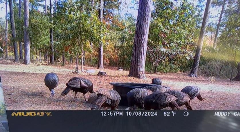 Coloma, Wisconsin 54930, United States, 3 Bedrooms Bedrooms, ,2 BathroomsBathrooms,Residential,Active,162406