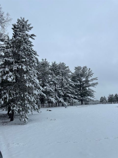 Tiny photo for 41.95 +/- Acres County Road Y, Montello, WI 53949 (MLS # 2010666)