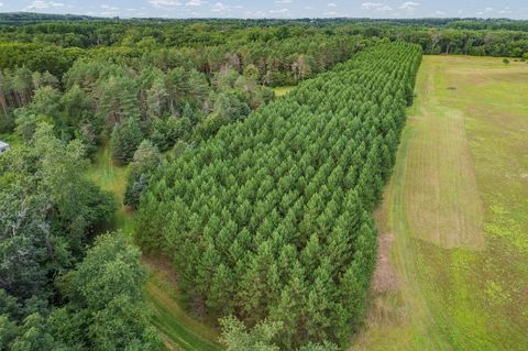 Tiny photo for 41.95 +/- Acres County Road Y, Montello, WI 53949 (MLS # 2010666)