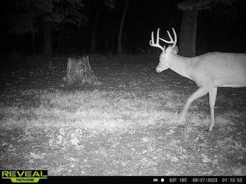 Tiny photo for 41.95 +/- Acres County Road Y, Montello, WI 53949 (MLS # 2010666)