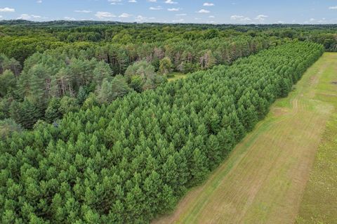 Tiny photo for 41.95 +/- Acres County Road Y, Montello, WI 53949 (MLS # 2010666)