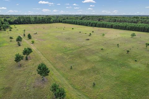 Tiny photo for 41.95 +/- Acres County Road Y, Montello, WI 53949 (MLS # 2010666)
