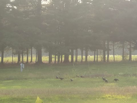 Tiny photo for 41.95 +/- Acres County Road Y, Montello, WI 53949 (MLS # 2010666)