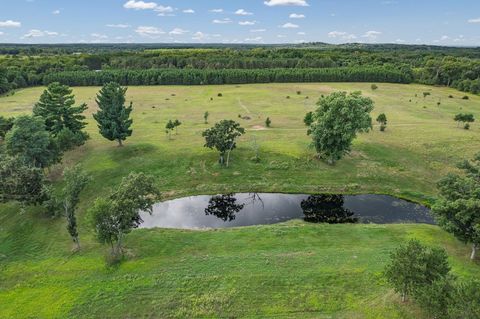 Tiny photo for 41.95 +/- Acres County Road Y, Montello, WI 53949 (MLS # 2010666)