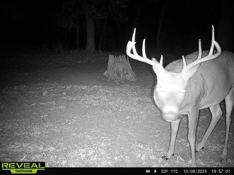 Tiny photo for 41.95 +/- Acres County Road Y, Montello, WI 53949 (MLS # 2010666)