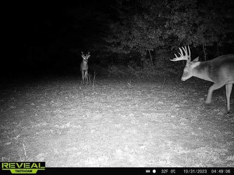Tiny photo for 41.95 +/- Acres County Road Y, Montello, WI 53949 (MLS # 2010666)