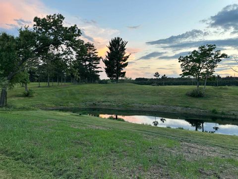 Tiny photo for 41.95 +/- Acres County Road Y, Montello, WI 53949 (MLS # 2010666)