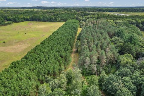 Tiny photo for 41.95 +/- Acres County Road Y, Montello, WI 53949 (MLS # 2010666)