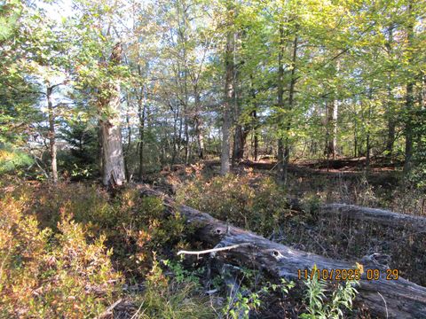 Tiny photo for 0 County Road M, Grand Marsh, WI 53936 (MLS # 2010570)