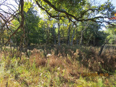 Tiny photo for 0 County Road M, Grand Marsh, WI 53936 (MLS # 2010570)