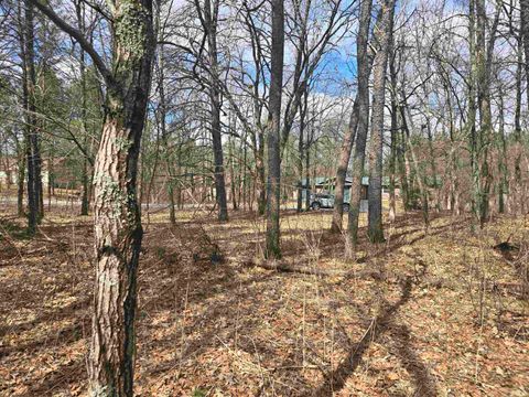 Photo of 322 Big Sky Trail, Nekoosa, WI 54457 (MLS # 2014681)