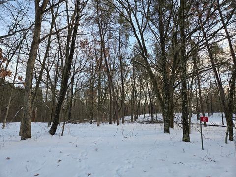 Photo of 322 Big Sky Trail, Nekoosa, WI 54457 (MLS # 2014681)