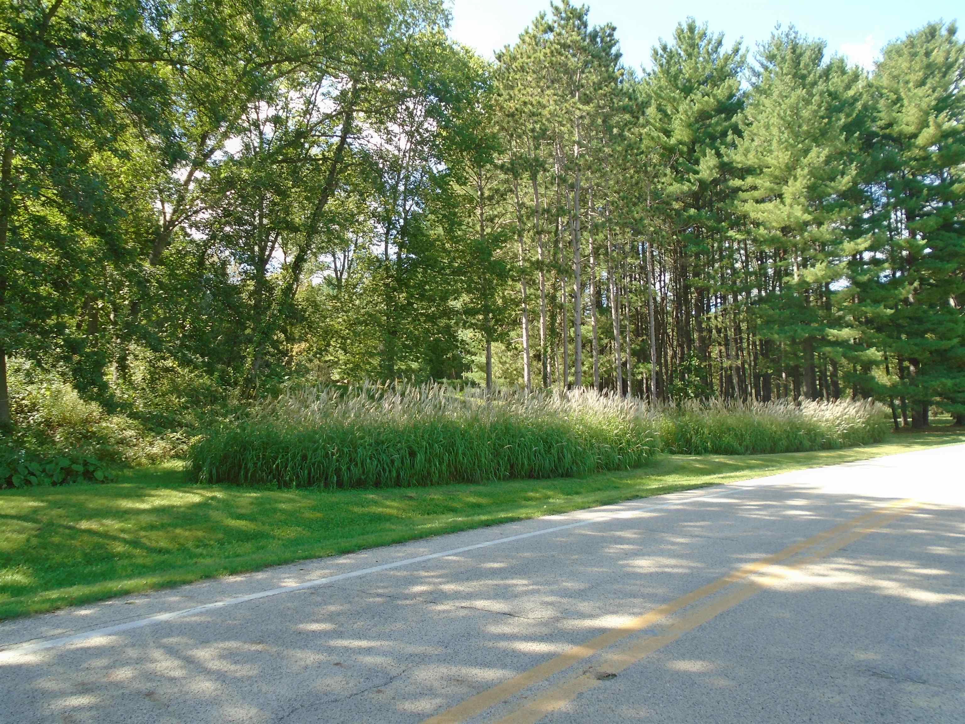 0 Scara Brea Lane