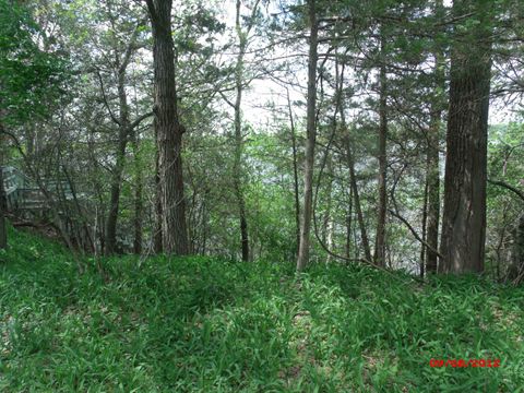 Tiny photo for .57 Ac Water Street, Montello, WI 53949 (MLS # 1855894)