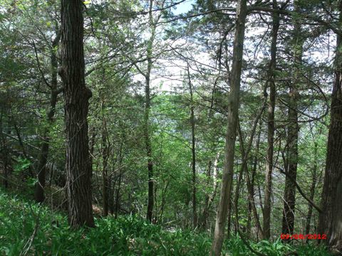 Tiny photo for .57 Ac Water Street, Montello, WI 53949 (MLS # 1855894)