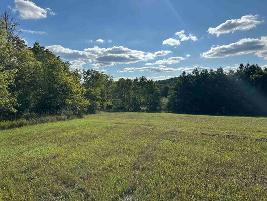 LOT 1 BEN FRANKLIN STREET, VERONA, WI 53593 - Image 40a034f74f49a0de7d8f459dc66fcb7b/1267063473
