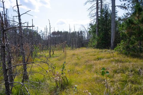 Tiny photo for Lot 11 W 16th Court, Arkdale, WI 54613 (MLS # 2000884)