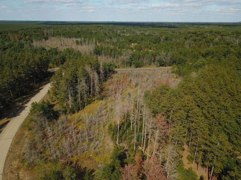 Tiny photo for Lot 11 W 16th Court, Arkdale, WI 54613 (MLS # 2000884)
