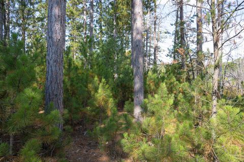 Tiny photo for Lot 11 W 16th Court, Arkdale, WI 54613 (MLS # 2000884)