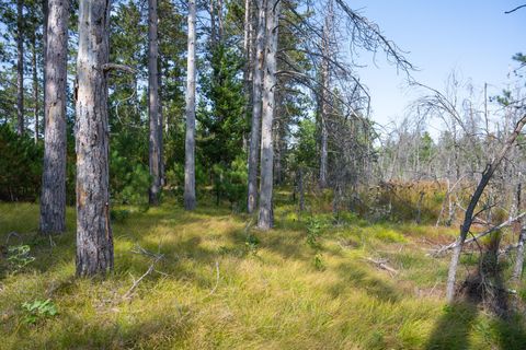 Tiny photo for Lot 11 W 16th Court, Arkdale, WI 54613 (MLS # 2000884)