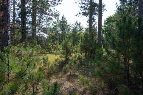 Tiny photo for Lot 11 W 16th Court, Arkdale, WI 54613 (MLS # 2000884)