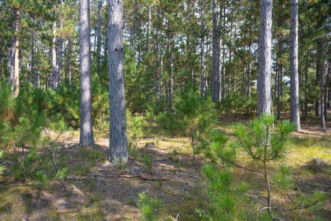 Tiny photo for Lot 11 W 16th Court, Arkdale, WI 54613 (MLS # 2000884)