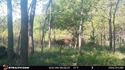 Tiny photo for 40 AC County Road O, Oxford, WI 53952 (MLS # 1995776)