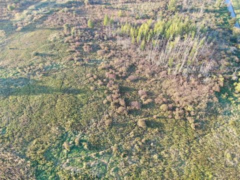 Tiny photo for 40 AC County Road O, Oxford, WI 53952 (MLS # 1995776)