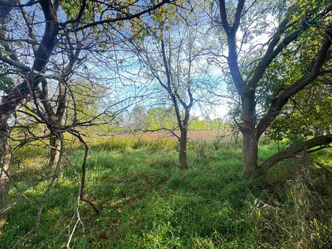 Tiny photo for 40 AC County Road O, Oxford, WI 53952 (MLS # 1995776)