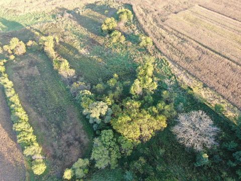 Tiny photo for 40 AC County Road O, Oxford, WI 53952 (MLS # 1995776)