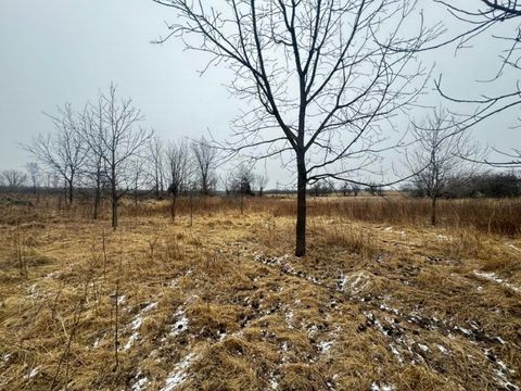 Tiny photo for 40 AC County Road O, Oxford, WI 53952 (MLS # 1995776)
