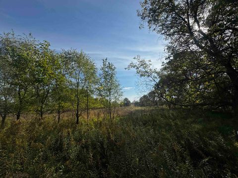 Tiny photo for 40 AC County Road O, Oxford, WI 53952 (MLS # 1995776)