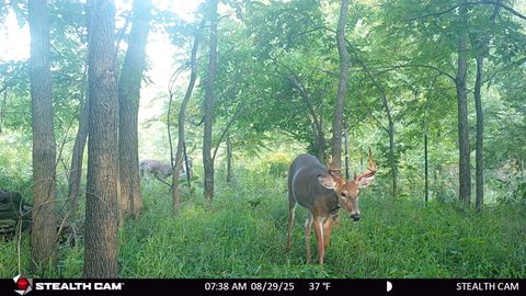 Tiny photo for 40 AC County Road O, Oxford, WI 53952 (MLS # 1995776)