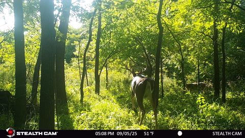 Tiny photo for 40 AC County Road O, Oxford, WI 53952 (MLS # 1995776)