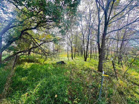 Tiny photo for 40 AC County Road O, Oxford, WI 53952 (MLS # 1995776)
