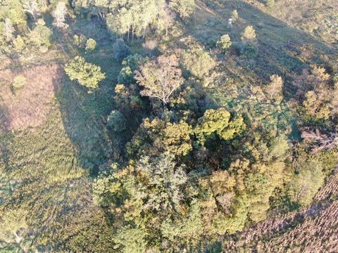 Tiny photo for 40 AC County Road O, Oxford, WI 53952 (MLS # 1995776)