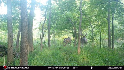 Tiny photo for 40 AC County Road O, Oxford, WI 53952 (MLS # 1995776)