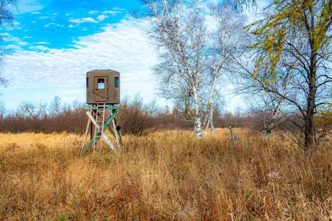 Photo of 72 Ac. Czech Drive, Berlin, WI 54923 (MLS # 1993014)